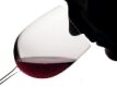 red wine tasting man